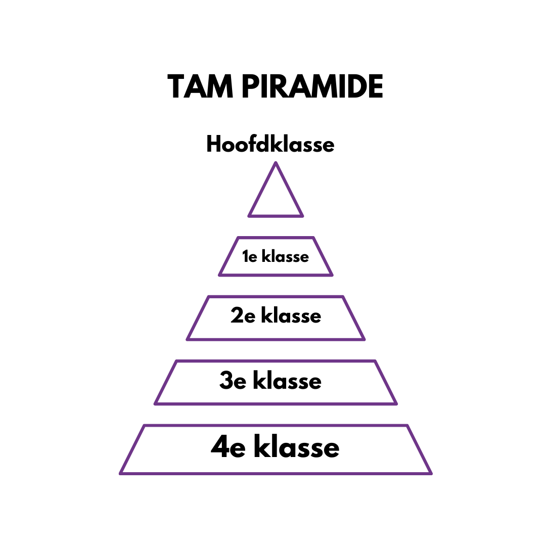 tam piramide selectietennis