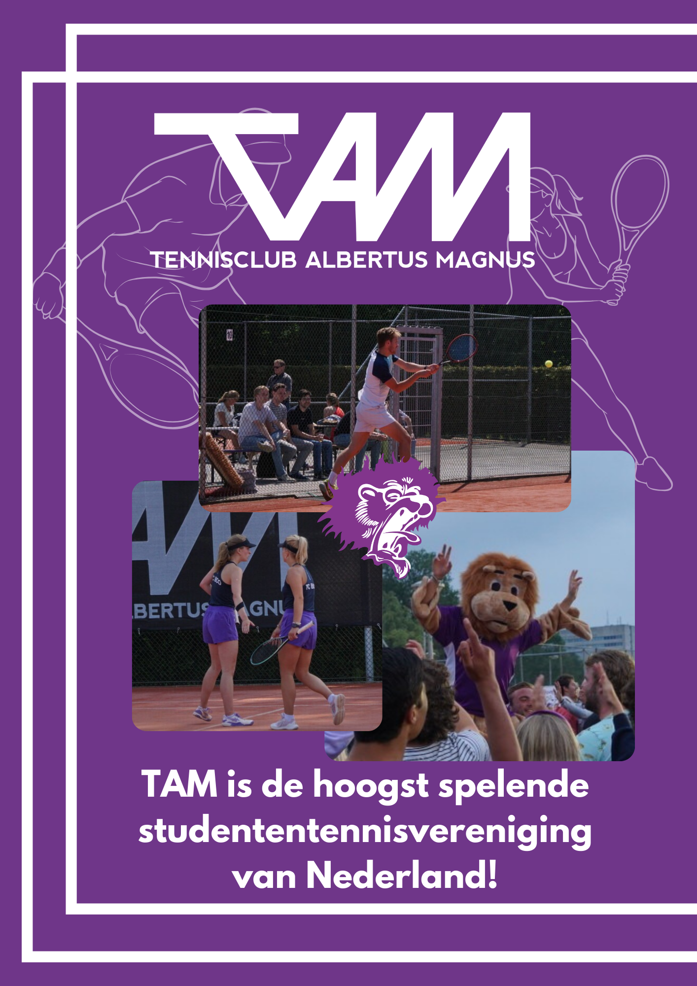 tennisclub albertus magnus groningen
