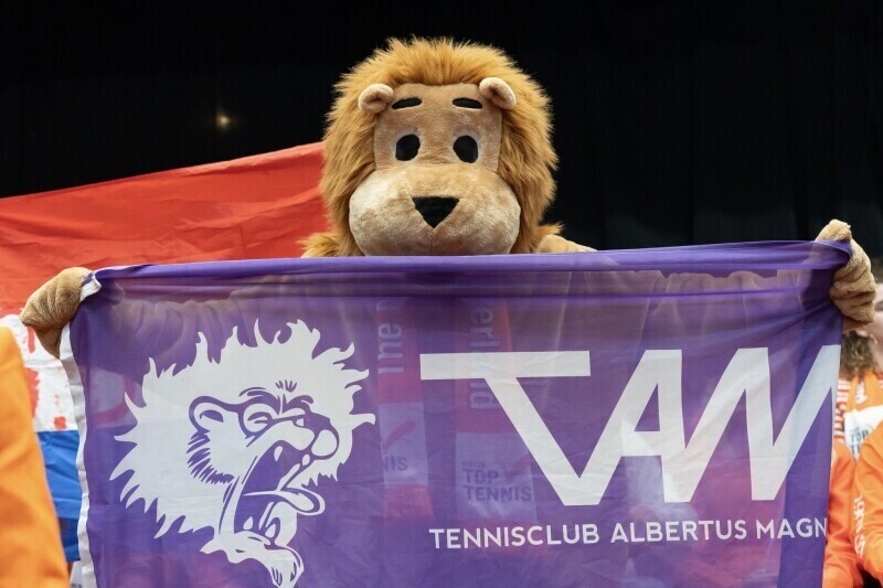 tam groningen davis cup leeuw